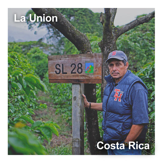 Costa Rica コスタリカ / La Union ラ・ウニオン