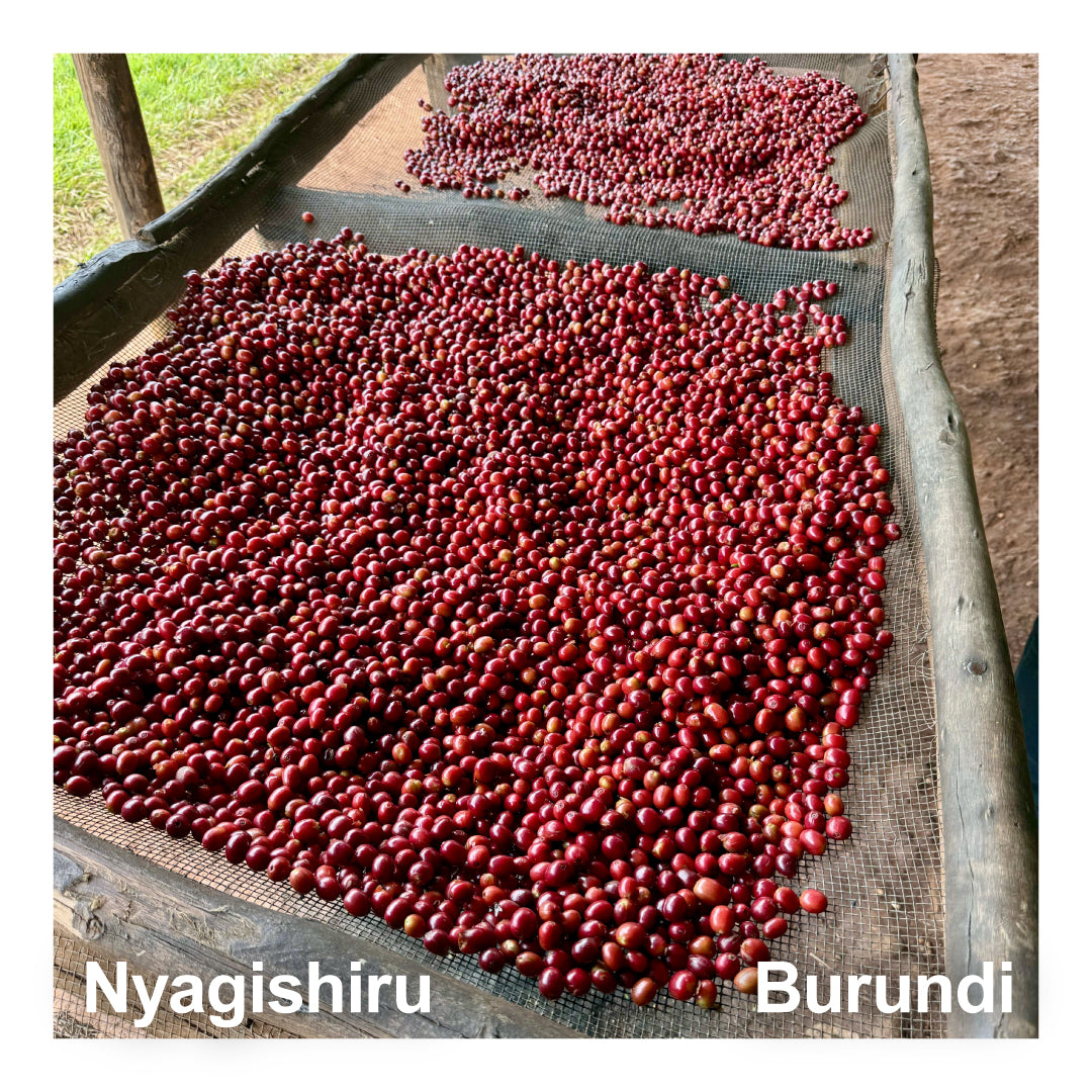 Burundi ブルンジ / Nyagishiru ニャギシル
