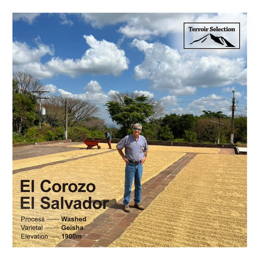 El Salvador エルサルバドル / El Corozo エル コロソ