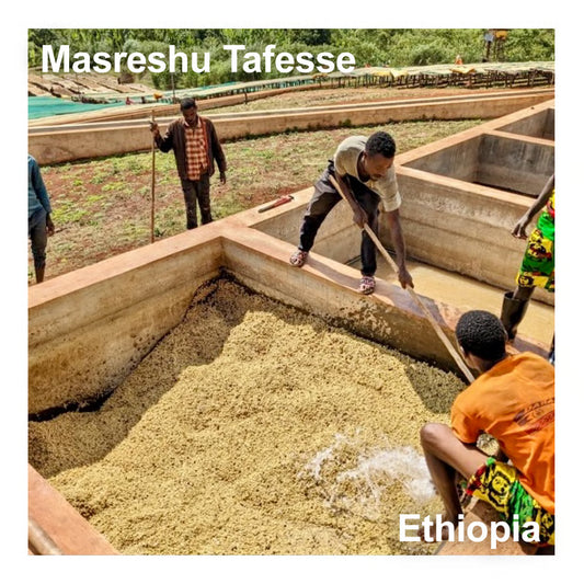 Ethiopia エチオピア / Masreshu Tafesse マスレシュ・タフェッセ