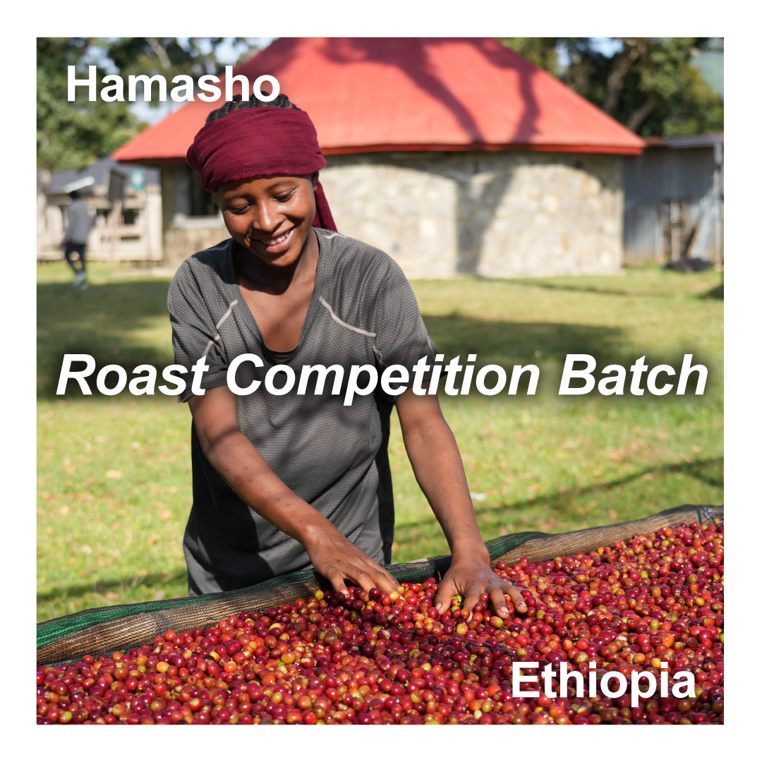 【ローストコンペ課題豆（2種セット）】Ethiopia エチオピア / Hamasho ハマショウ