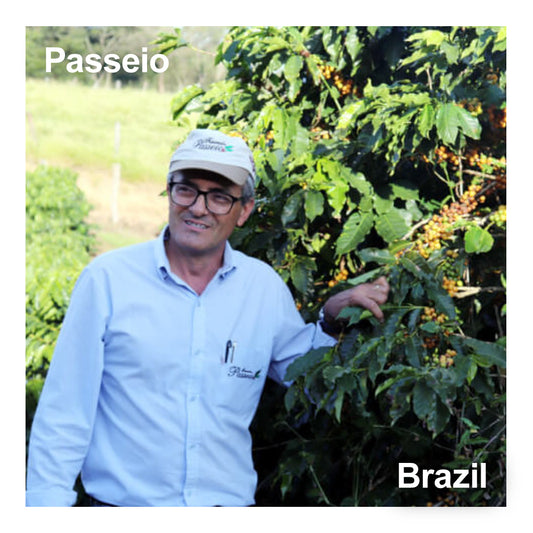 Brazil ブラジル / Passeio パッセイオ（ナノロット）