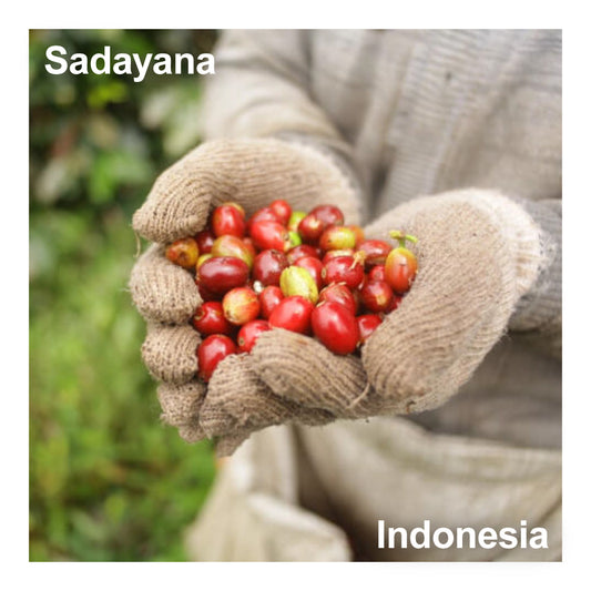 Indonesia インドネシア / Sadayana サダヤナ